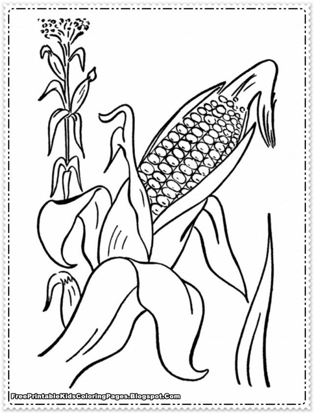 Thanksgiving Food Coloring Pages For Kids Corn Coloring Pages 