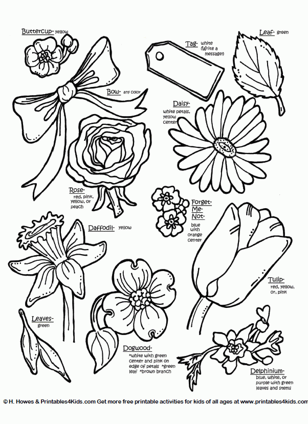 Botanical flowers with names : Printables for Kids – free word 