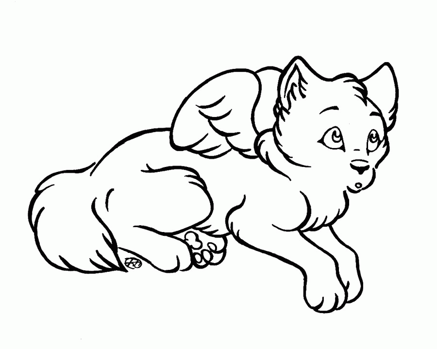 How To Draw A Winged Wolf