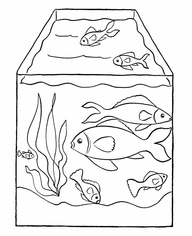 Fish Coloring Pages Free Printable Pet Fish In A Tank Coloring 