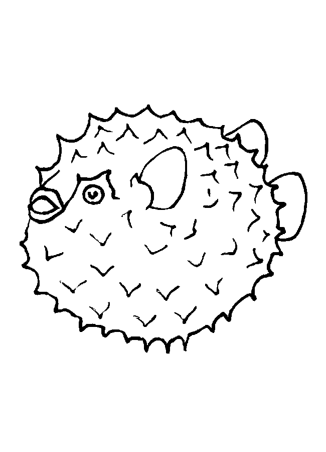 pufferfish Colouring Pages