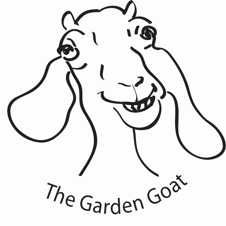 Husband | gardengoatquote | a goat's journey over life's mountains 