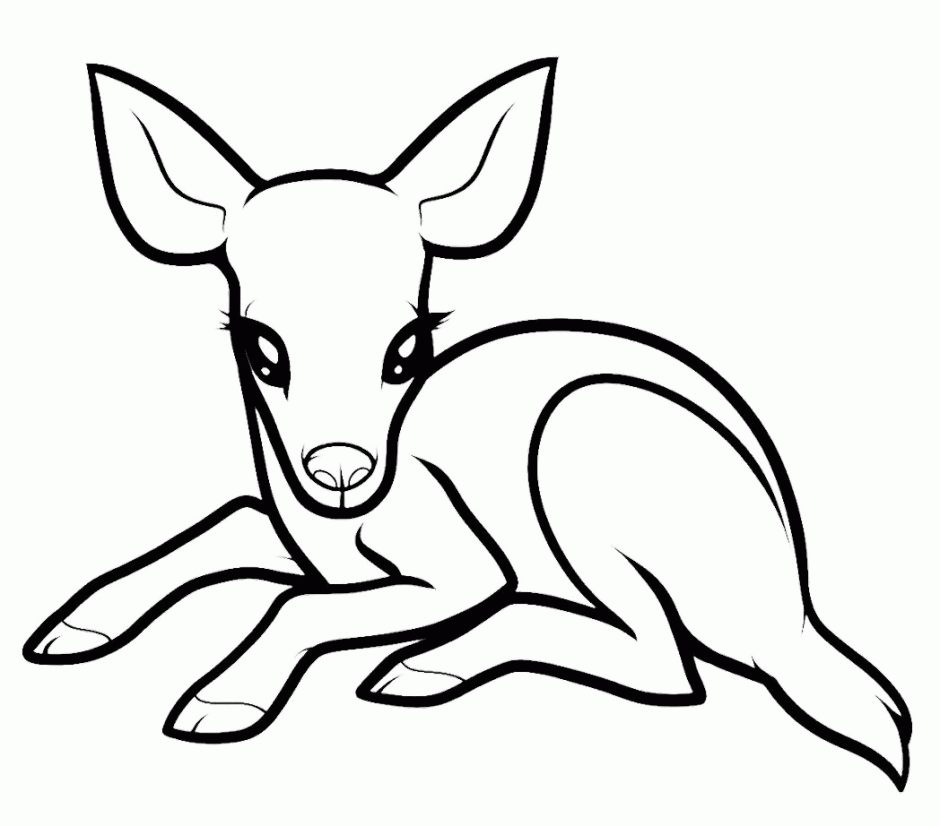 Deer Drawings For Kids Coloring Home