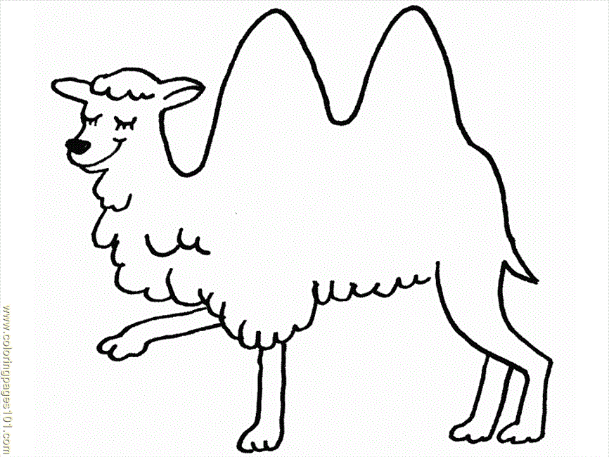 To camel Colouring Pages (page 3)