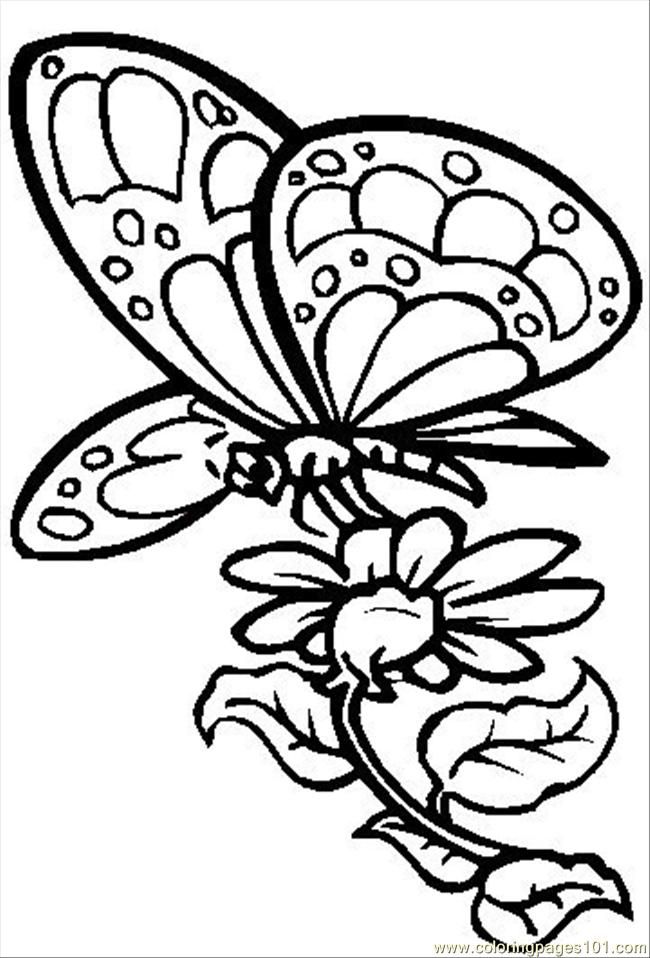 Coloring Pages Color The Butterfly (Natural World > Flowers 
