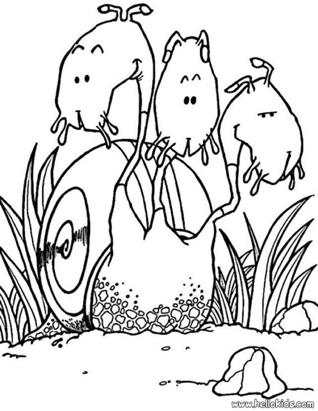 Printing Snail Monster Coloring Page Source Best Resolutions 