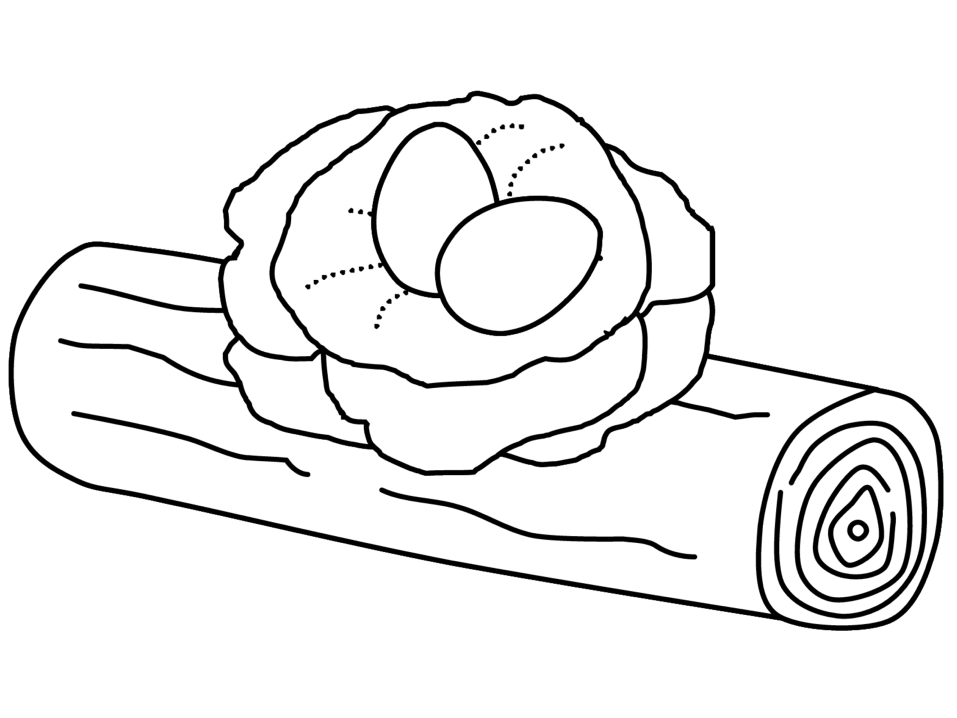 Birds Nest Coloring Page Twisty Noodle Pictures