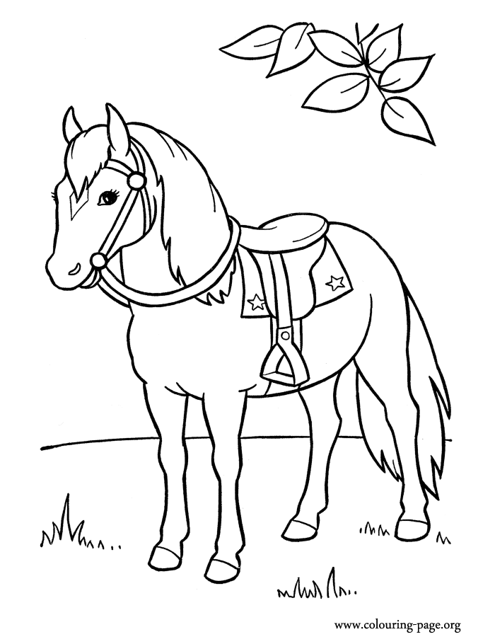 Coloring Pages Of Horses To Print 5 | Free Printable Coloring Pages