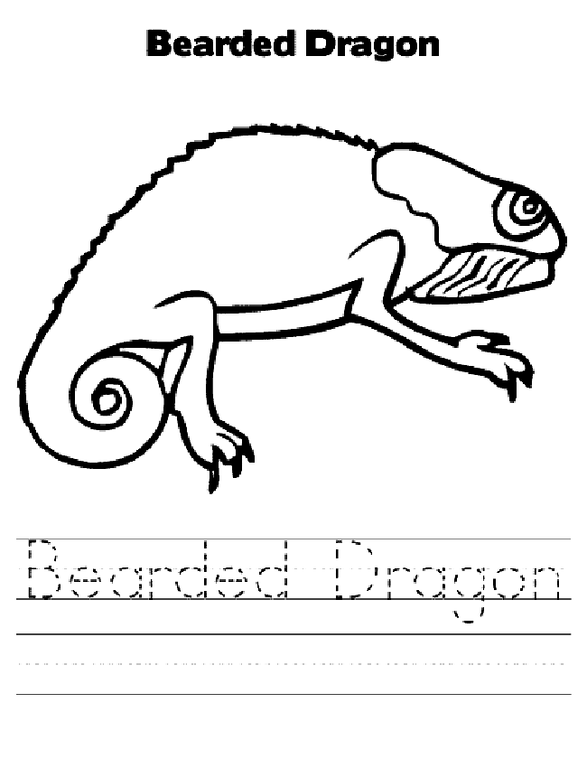 Bearded Dragon coloring page - Animals Town - animals color sheet 