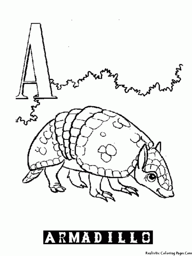animal alphabet coloring pages Armadillo | Coloring Pages