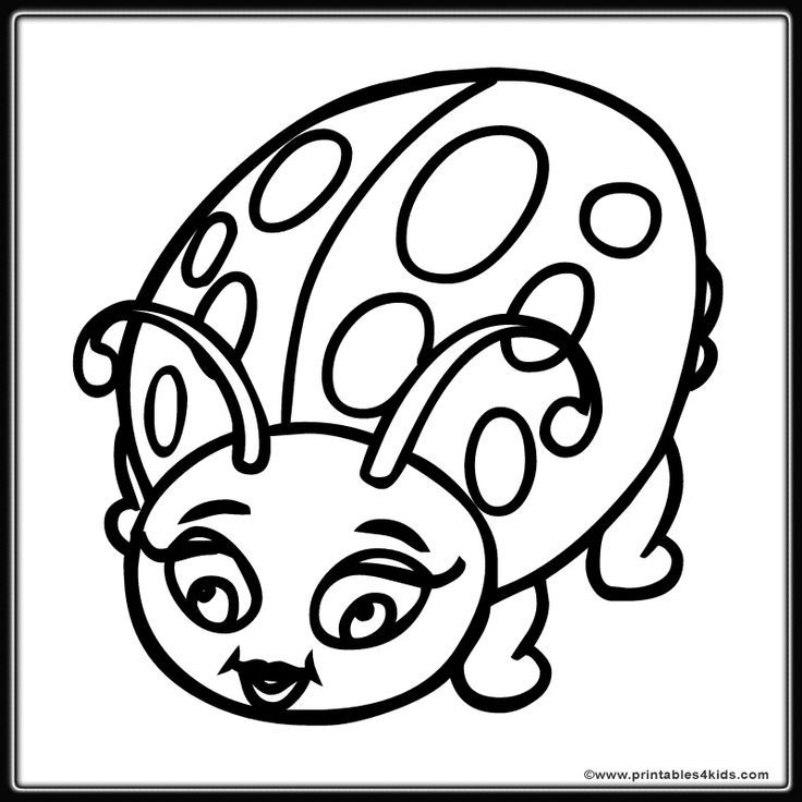 ladybug coloring page | Cute Coloring Pages