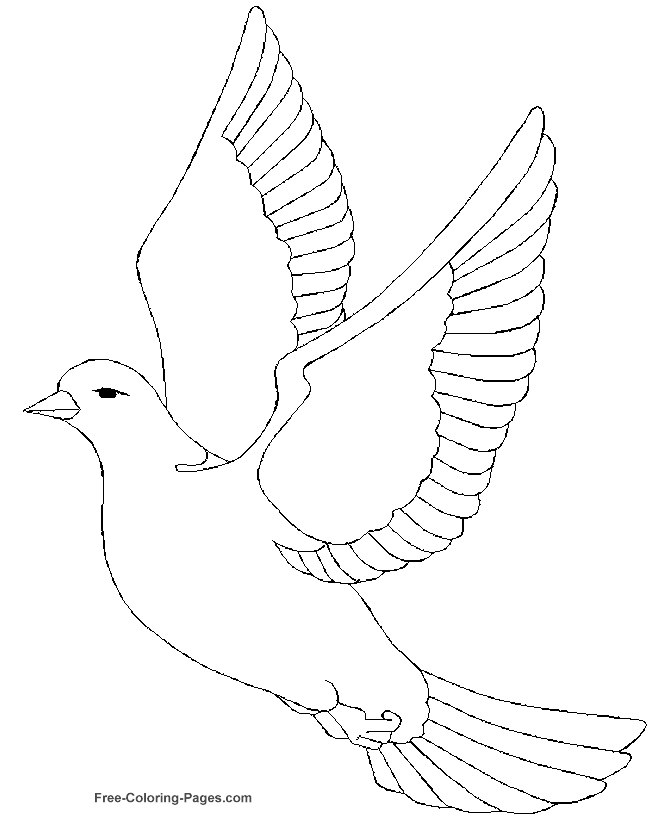 Bird coloring pages - Dove | Mandala