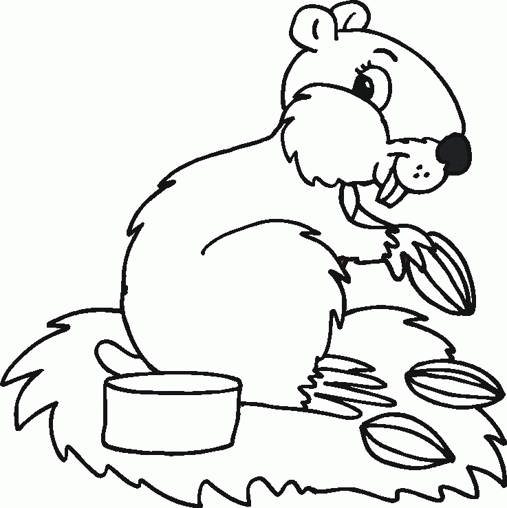 Animal Coloring Pictures | Free coloring pages