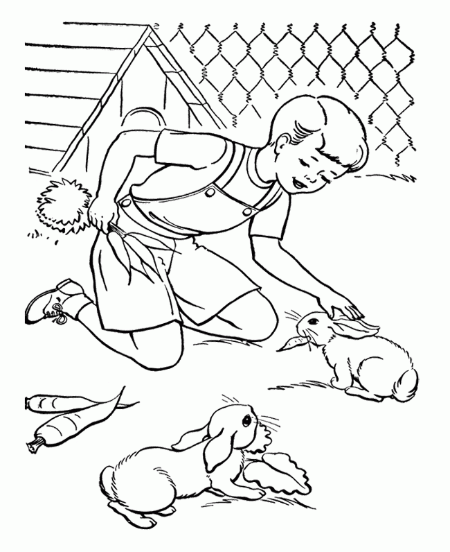 Rabbits Coloring Pages : The Boy Pet Rabbits Coloring Page Kids 