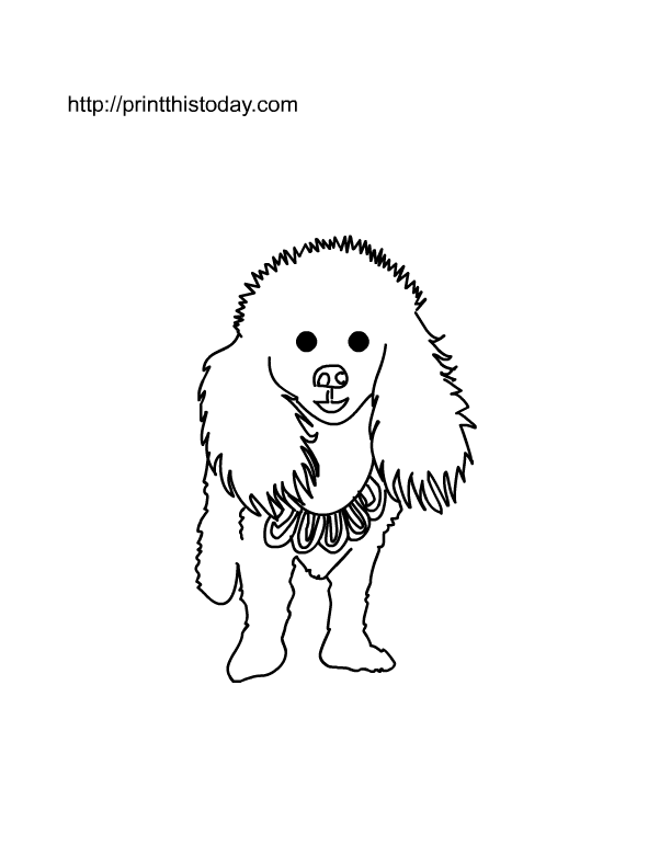 Download Coloring Pages Fluffy Dogs - Coloring Home