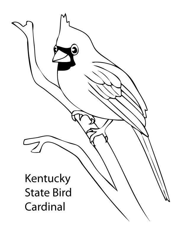 Ohio State Bird Coloring Page Murderthestout - Coloring Pages