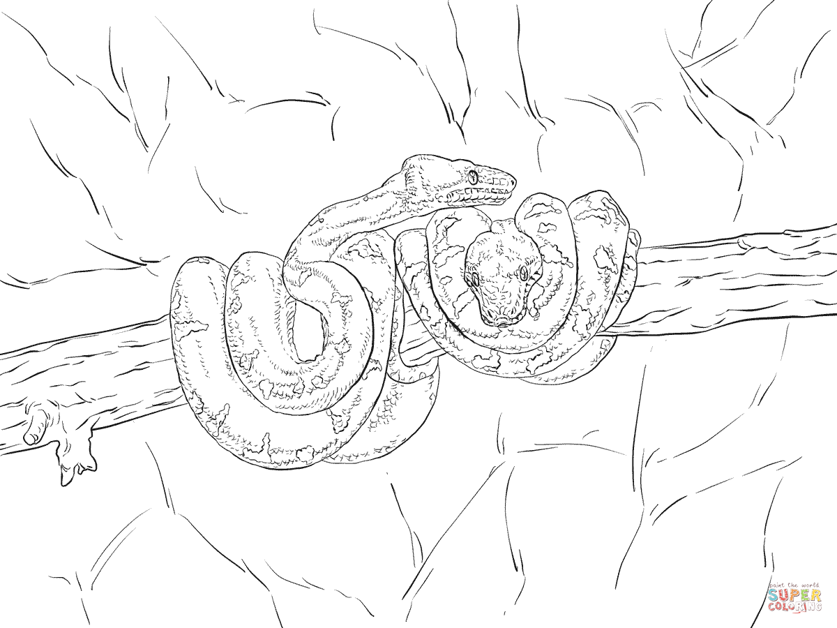 Emerald Tree Boa coloring page | Free Printable Coloring Pages