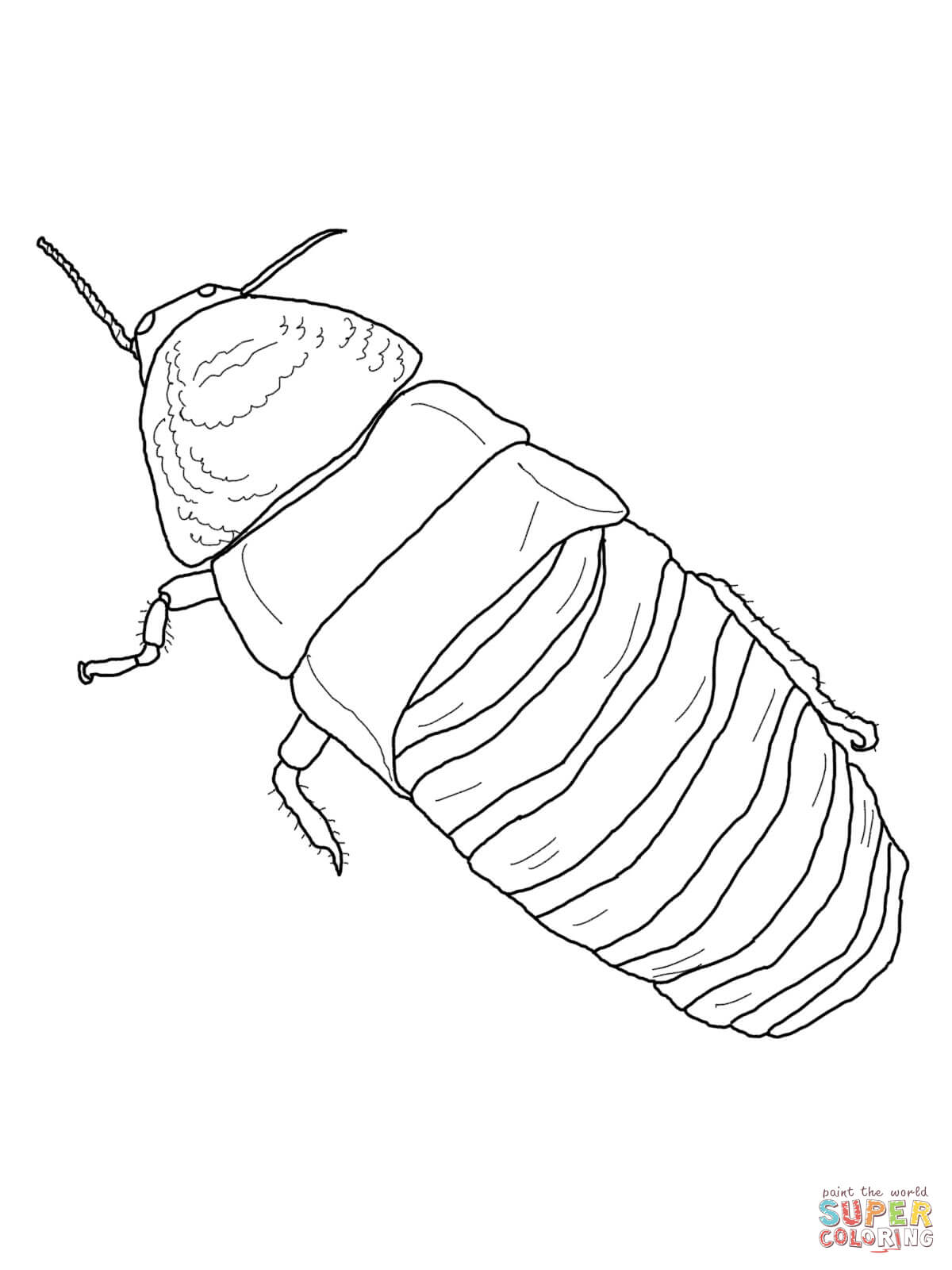 Madagascar Hissing Cockroach coloring page | Free Printable Coloring Pages