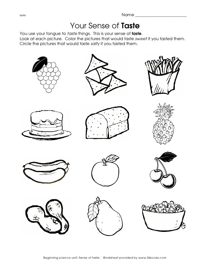 Intellect The Five Senses Coloring Sheets Pinterest The Five And ...