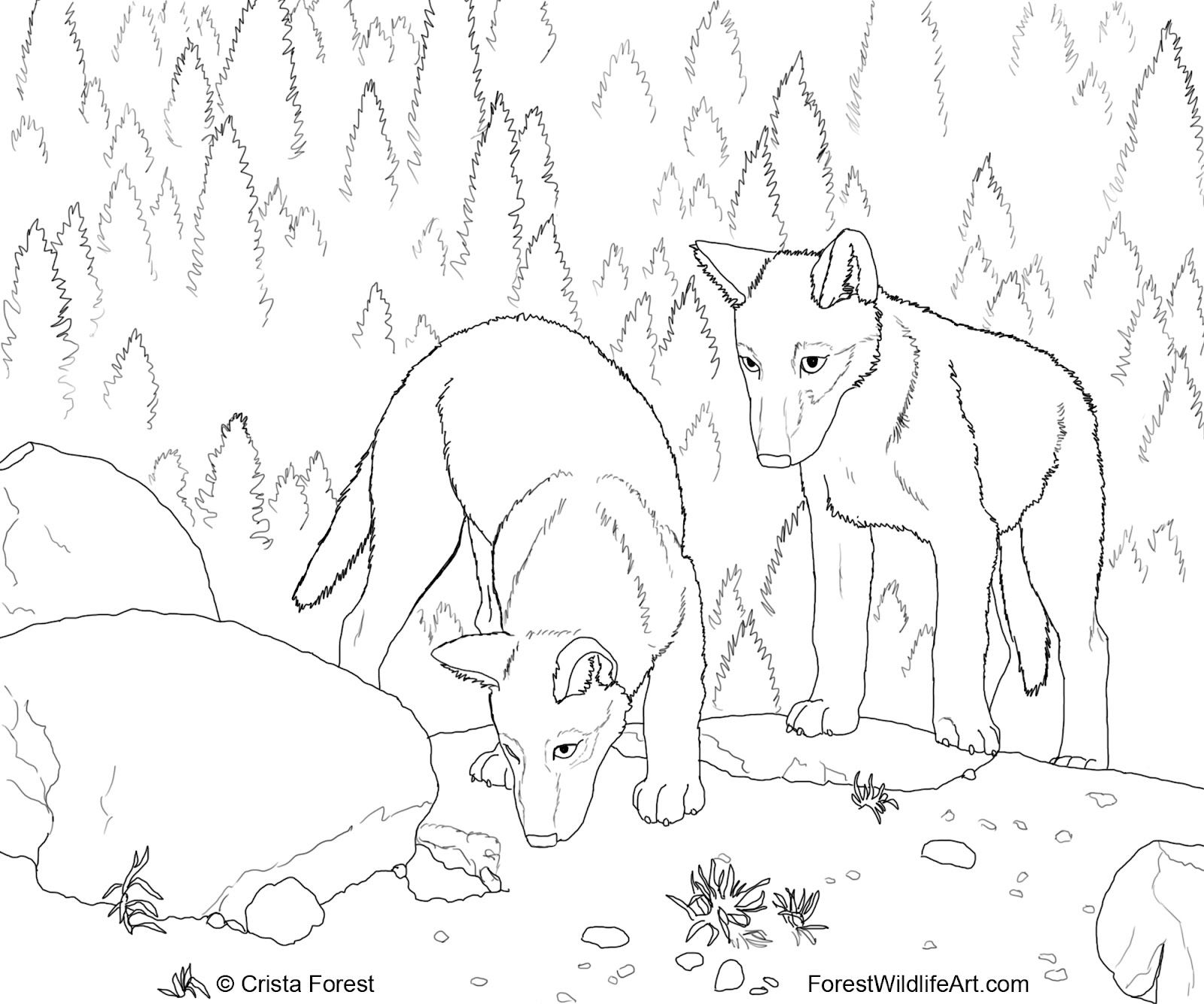 Wolf Pup Coloring Pages | Cooloring.com