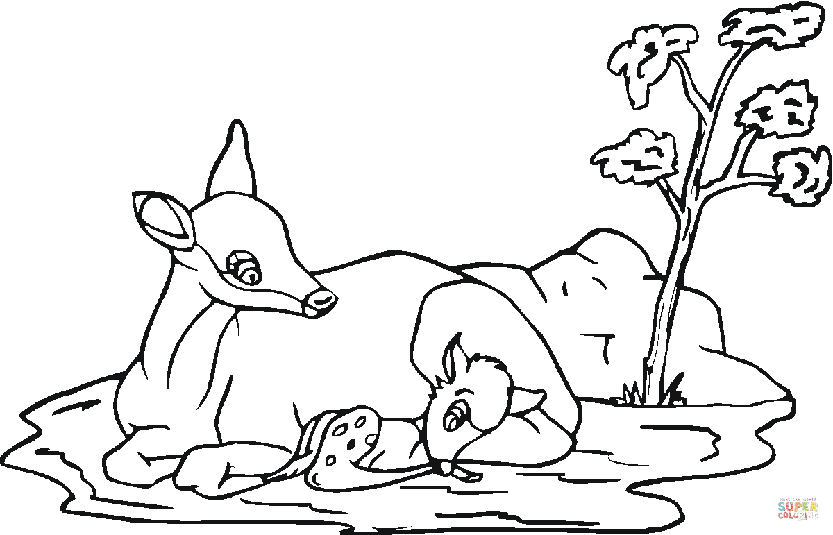 Mother roe deer and baby coloring page | Free Printable Coloring Pages