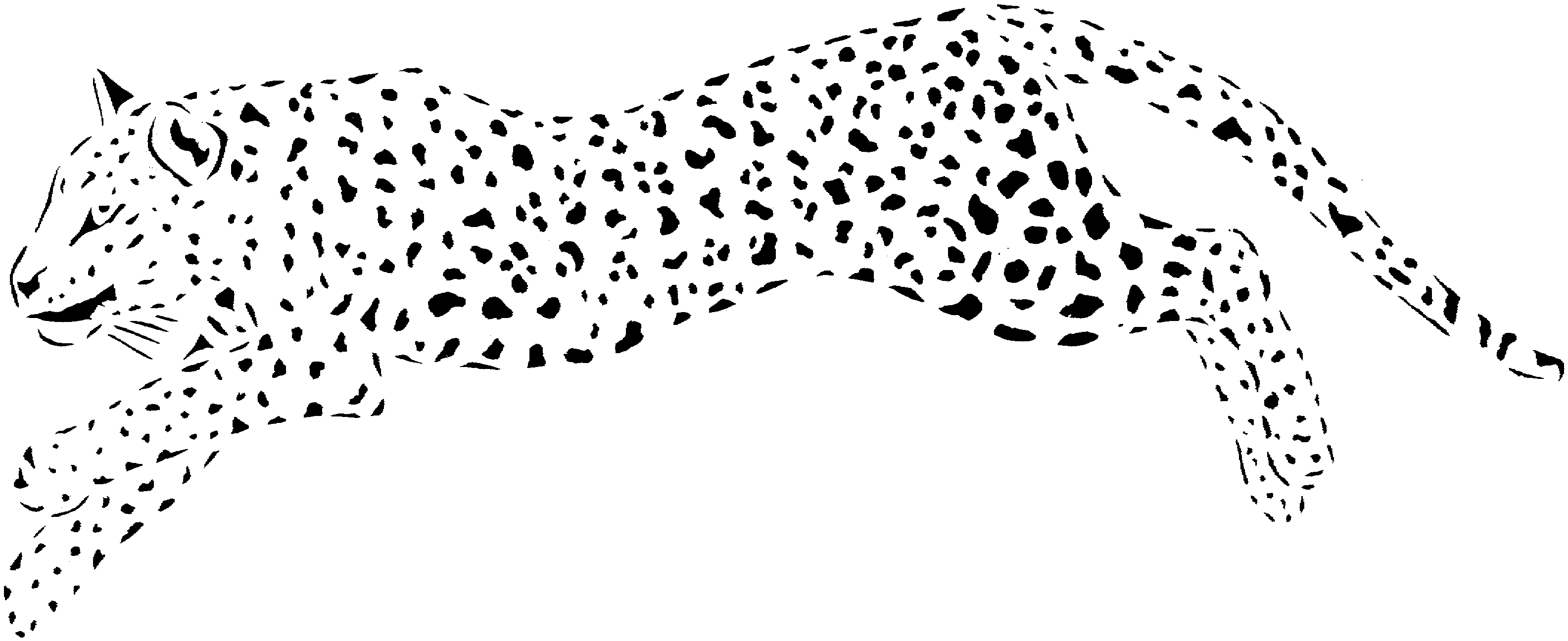Cheetah Coloring Pages - Colorine.net | #9812