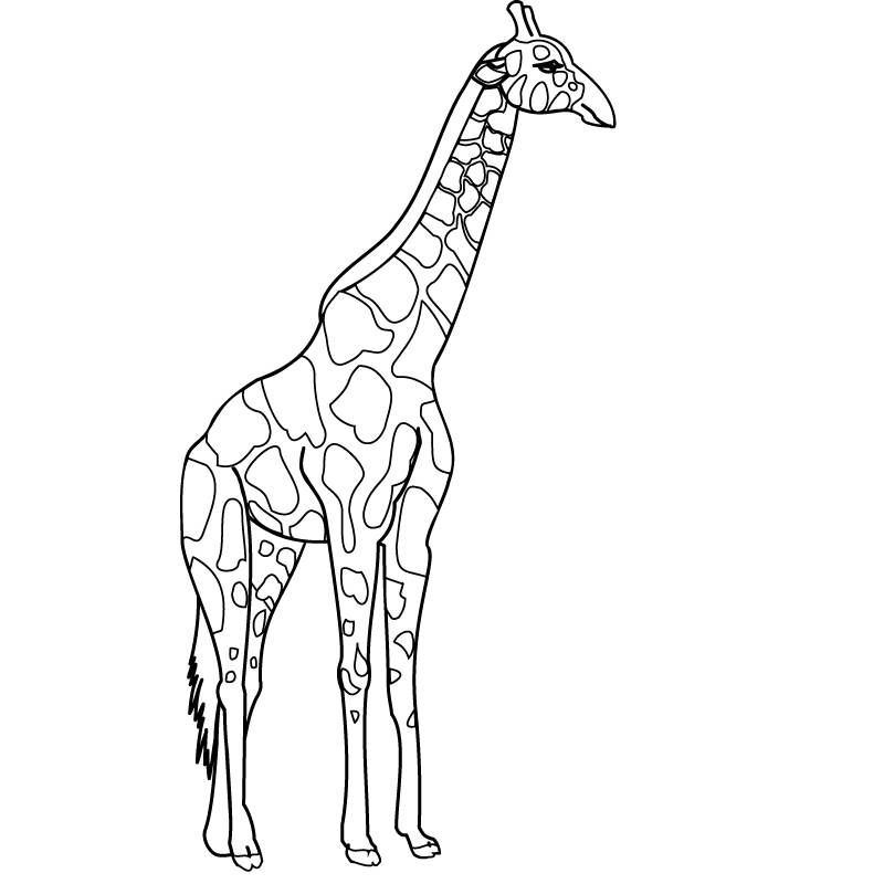 Realistic Giraffe Coloring Pages | Deliyazar.com