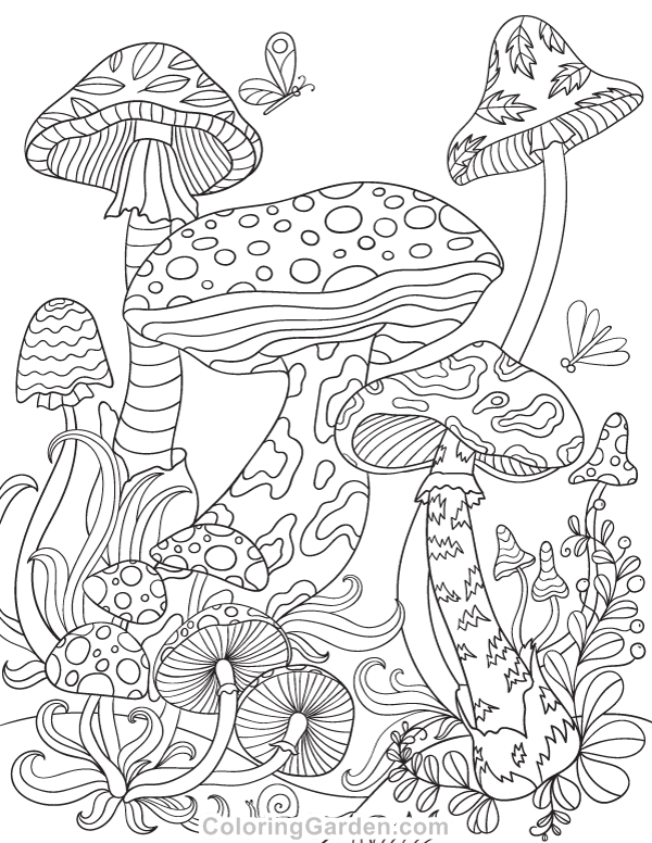 Mushrooms Coloring Pages Coloring Home
