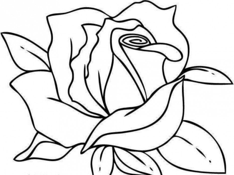 Printable Roses Coloring Pages For Kids They Who Search 280347 
