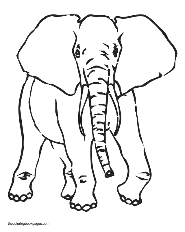 elephant face Colouring Pages (page 3)