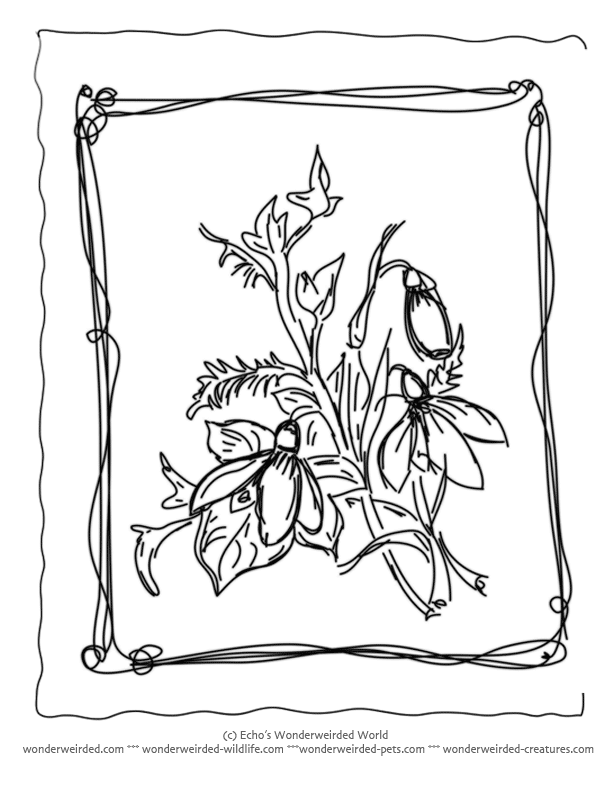 Spring Flower Coloring Pages,Our Spring Coloring Pages of Flowers