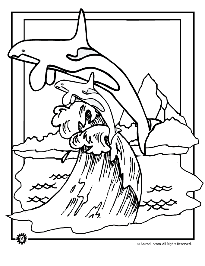 Whale Coloring Pages For Kids 410 | Free Printable Coloring Pages
