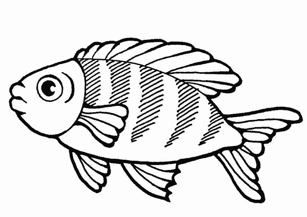 Big Fish Sea Life Coloring Pages :Kids Coloring Pages | Printable 