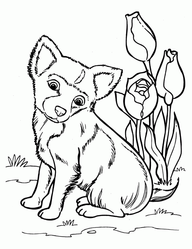 Husky Puppy Coloring Pages - Coloring Home