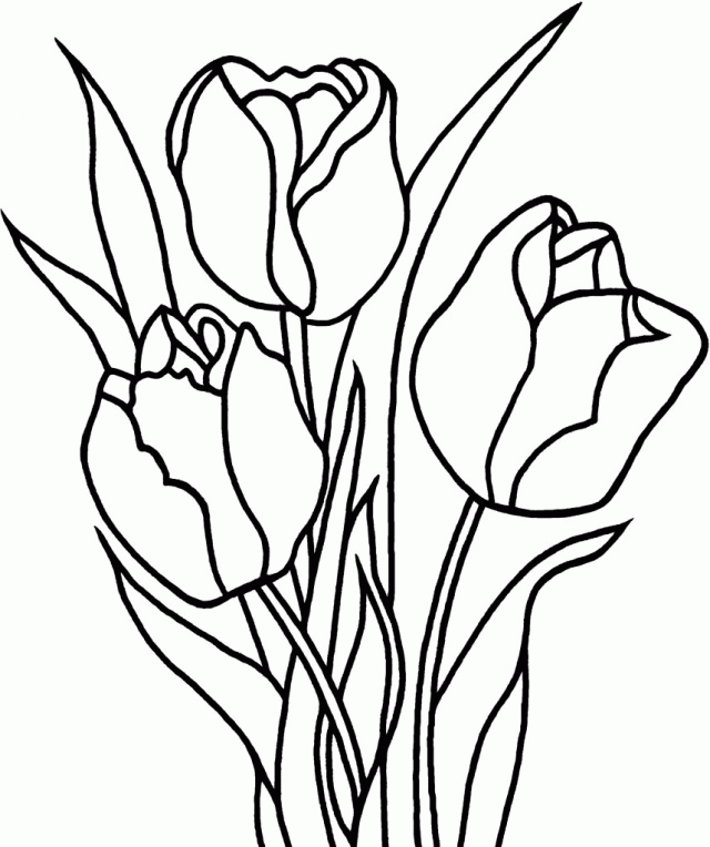 Uncategorized Tulip Coloring Pages To Print Printable Tulip 287571 