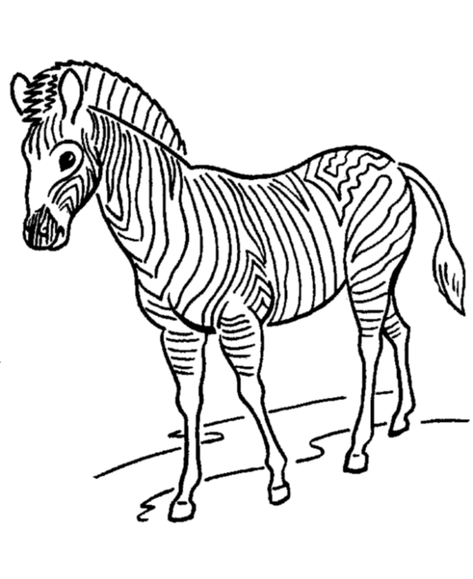 zoo animal coloring pages zebras page and kids activity