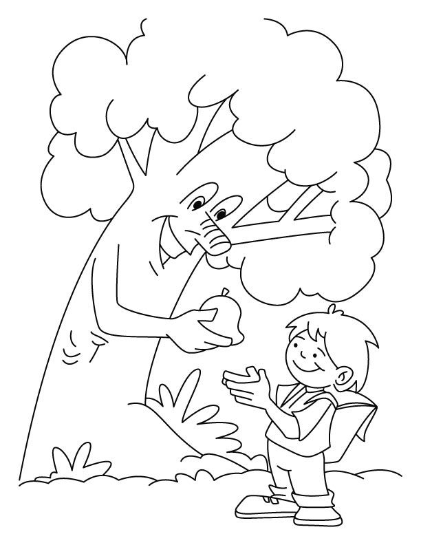 Tree giving the fruit to a boy coloring pages | Download Free Tree ...