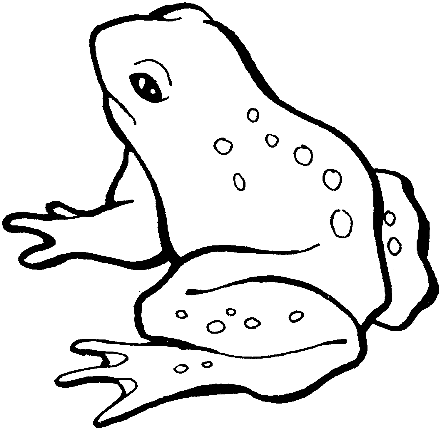 nice image frog For Computer | Frog coloring pages, Animal coloring pages, Coloring  pages