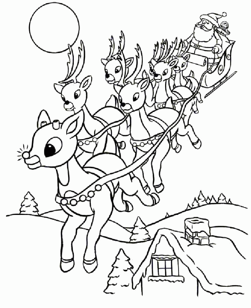 Reindeer - Coloring Pages for Kids and for Adults