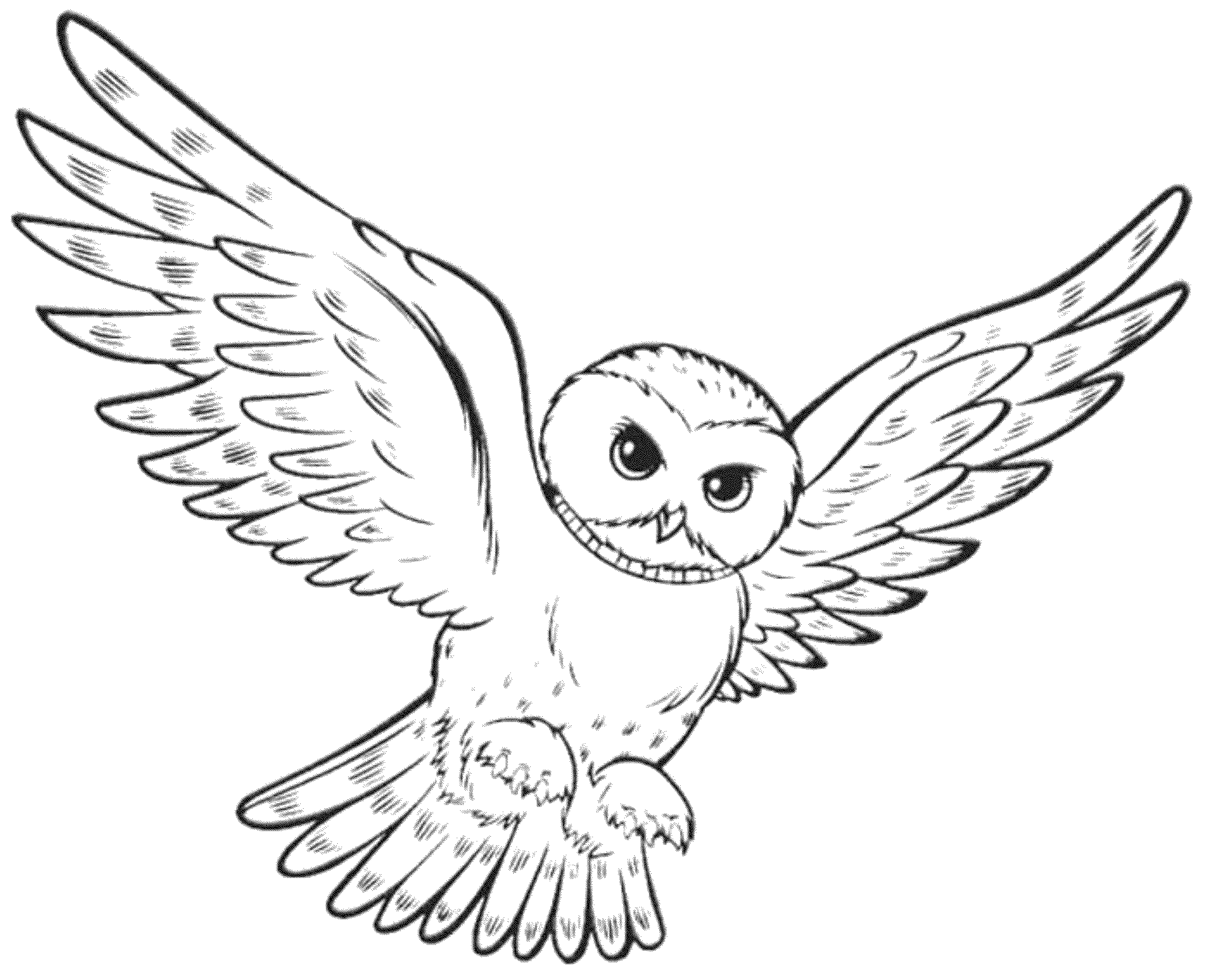 Owl Coloring Pages Preschool   Coloring Home