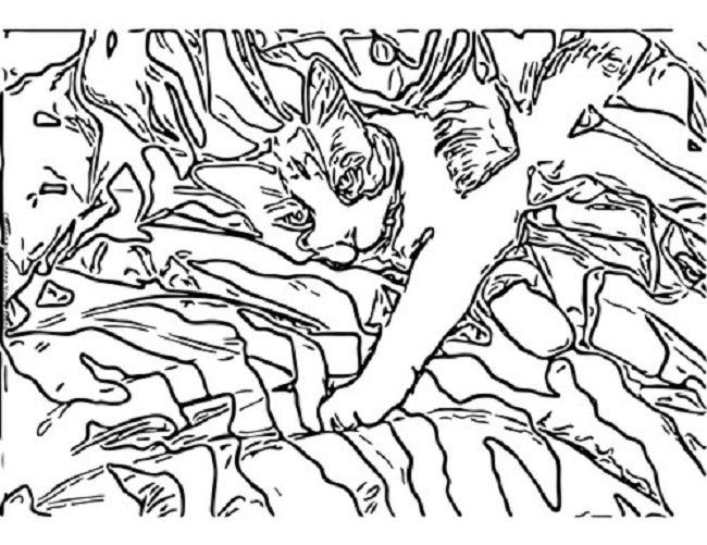 Camo Pattern coloring pages | Animal coloring pages, Pattern coloring pages,  Coloring pages