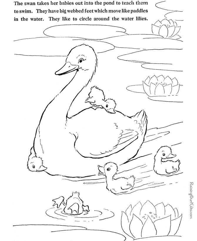 Swan coloring pages to print and color 014
