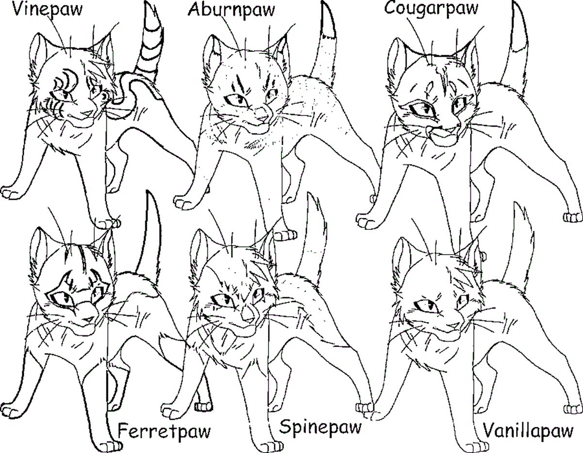 Warrior Cat Color Pages | Coloring Online