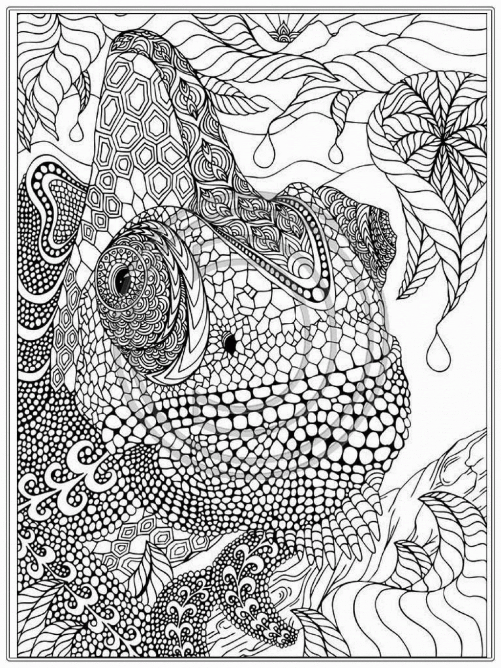 Adult Coloring Pages Colored