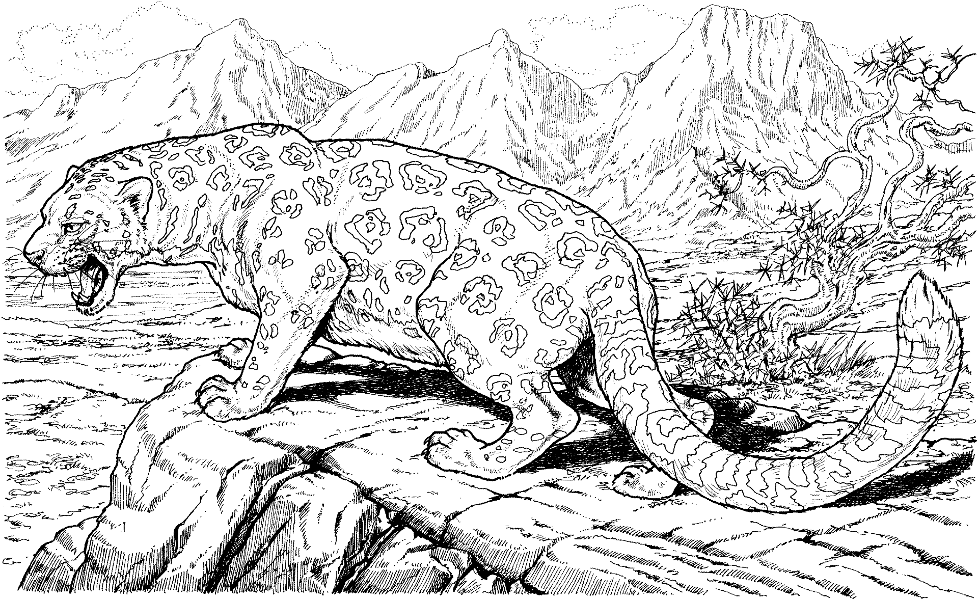 Hard Coloring Pages Of Animals   Coloring Home