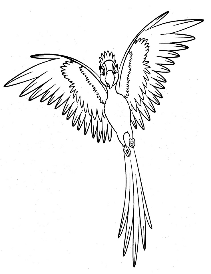 Jewel Flying Coloring Page - Free Printable Coloring Pages for Kids