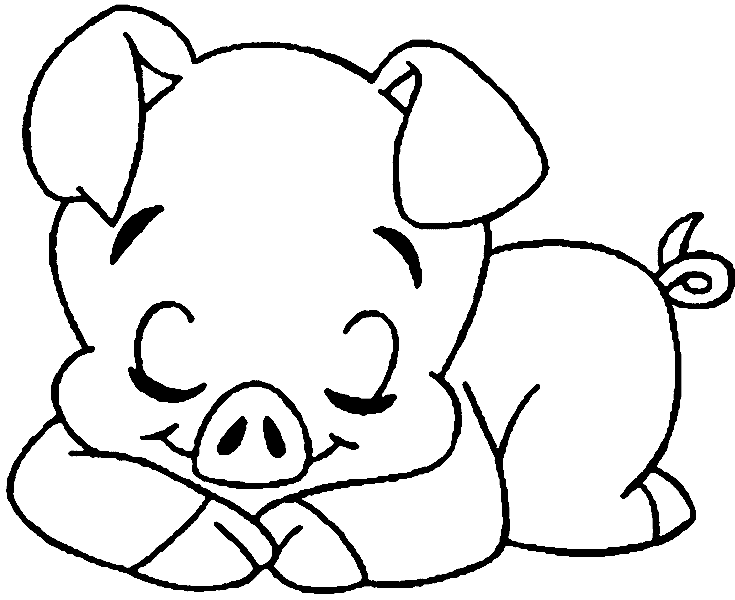 Cute Pigs Coloring Pages Coloring Home
