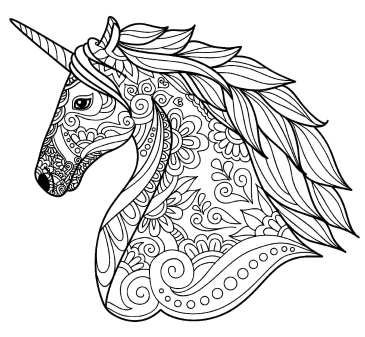 Detailed Unicorn Coloring Page | Unicorn Coloring Page Coloring book