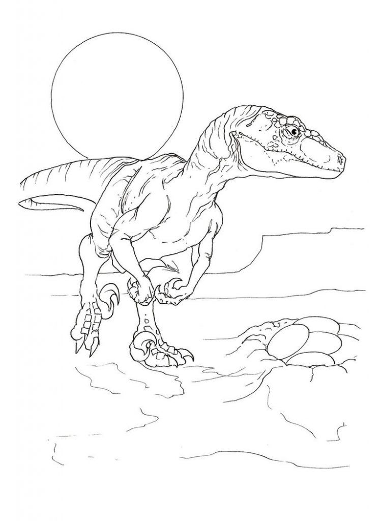 Velociraptor Coloring Pages - Best Coloring Pages For Kids | Dinosaur coloring  pages, Dinosaur coloring, Coloring pages