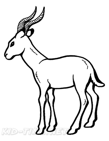 Gazelle Coloring Book Page | Free Coloring Book Pages Printables